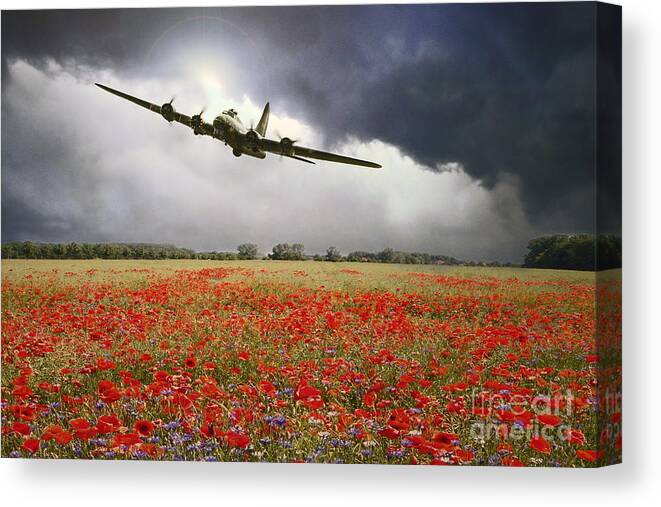 B-17 Flying Fortress Canvas Print featuring the digital art B-17 Poppy Pride by Airpower Art