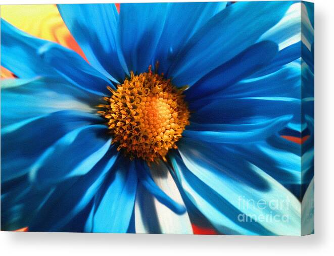 Diane Berry Canvas Print featuring the digital art Baby Blues by Diane E Berry