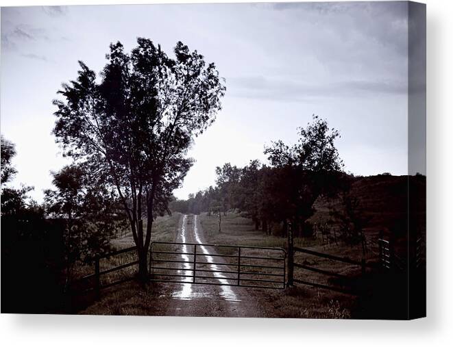 Road Canvas Print featuring the photograph Back Country Road And Then The Rain Came by James BO Insogna