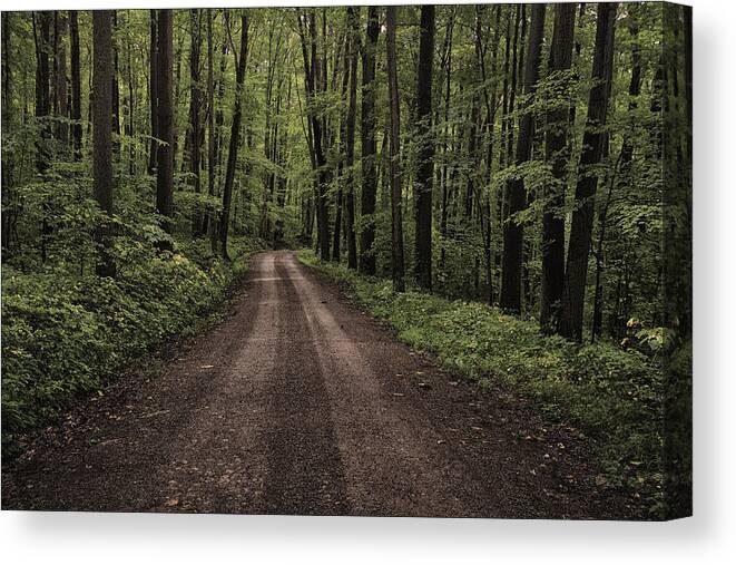 Pennsylvania Canvas Print featuring the photograph Back Road by Robert Fawcett