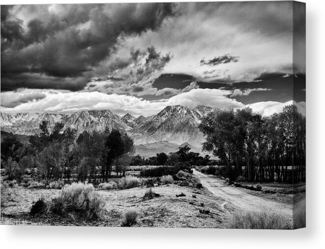 Mountains Canvas Print featuring the photograph Backroads of Bishop by Cat Connor
