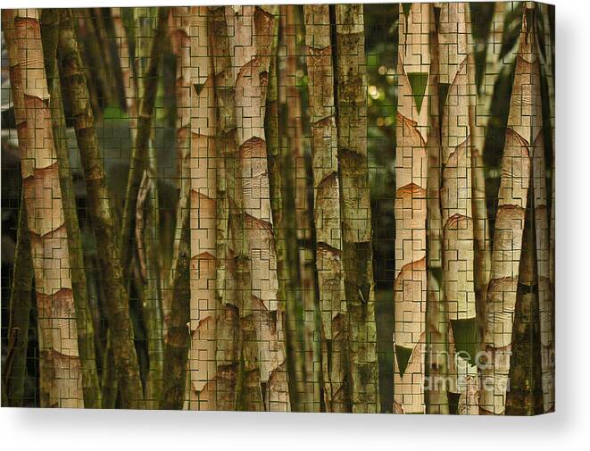 Bamboo Canvas Print featuring the photograph Bamboo with Texture by Vivian Christopher