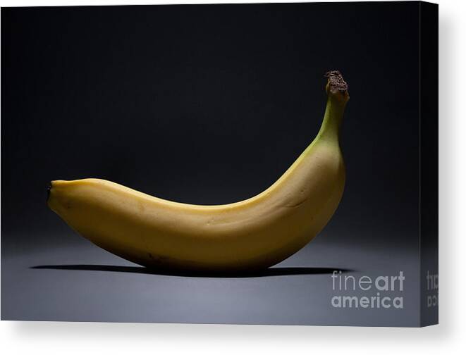 Banana Canvas Print featuring the photograph Banana In Limbo by Dan Holm
