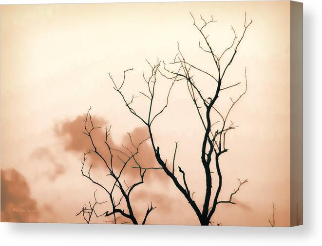 Monochrome Canvas Print featuring the photograph Bare Limbs by Denise Romano