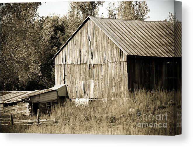  Canvas Print featuring the photograph Barn by Cheryl Baxter