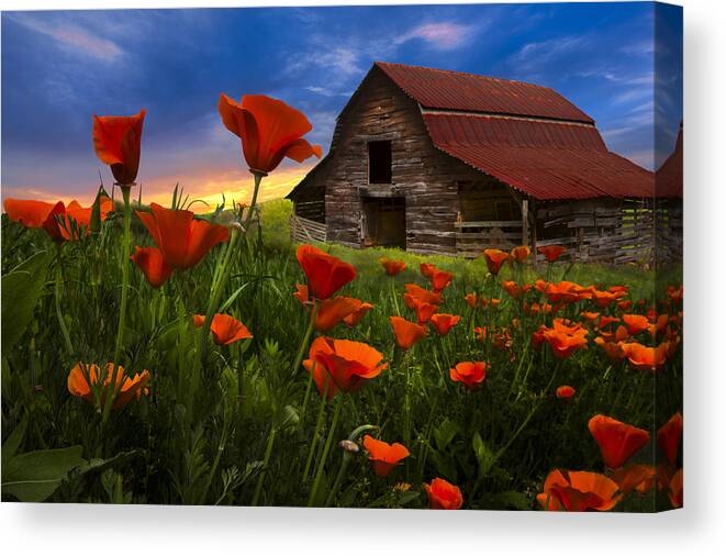 American Canvas Print featuring the photograph Barn in Poppies by Debra and Dave Vanderlaan