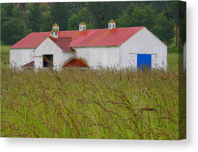 San Juan Island Canvas Print featuring the photograph Barn with Blue Door by Art Block Collections