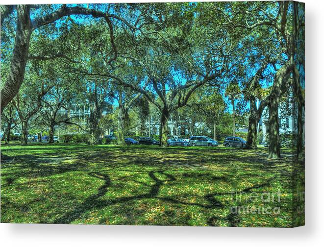 Live Canvas Print featuring the photograph Battery Live Oaks by Ules Barnwell