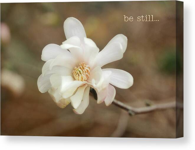 Floral Canvas Print featuring the photograph Be Still by Trina Ansel