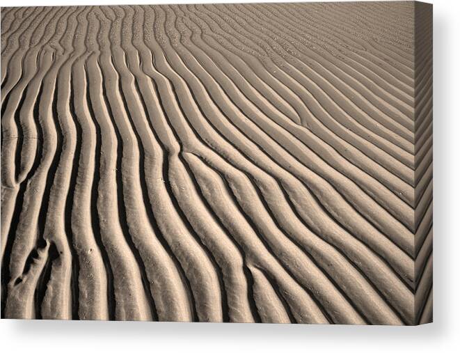 Sand Canvas Print featuring the photograph Beach Sand Ripples by Brooke T Ryan