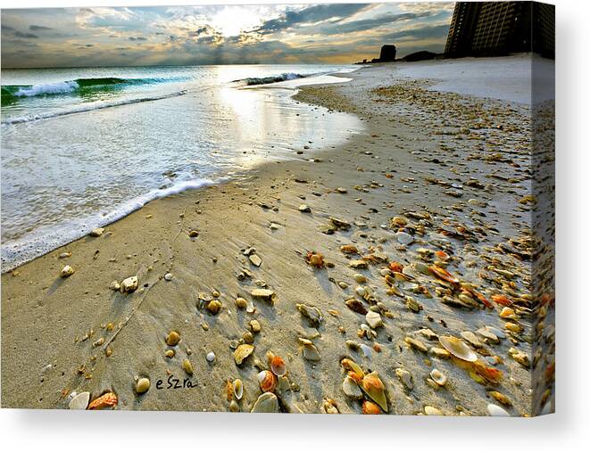 Seashells Canvas Print featuring the photograph Beach Sunset and Seashells by Eszra Tanner