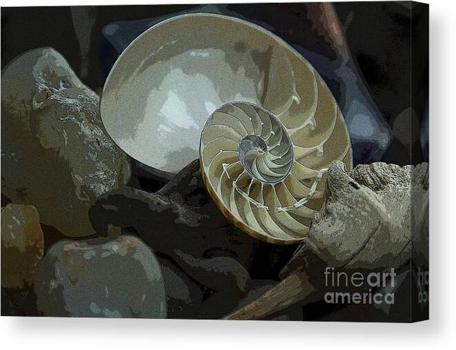 Beach Canvas Print featuring the photograph Beach Treasures by Jeanette French