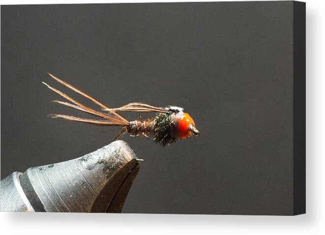 Tungsten Bead Canvas Print featuring the photograph Bead Head Pheasant Tailed Nymph by Phil And Karen Rispin