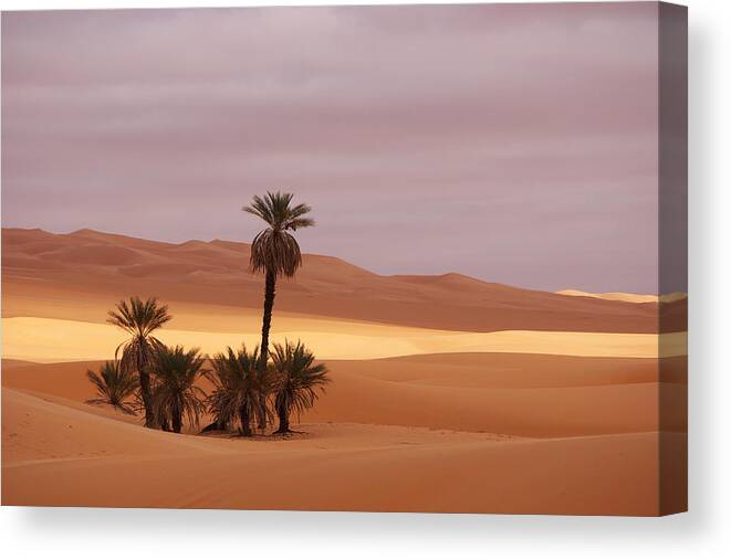 Desert Canvas Print featuring the photograph Beautiful desert by Ivan Slosar