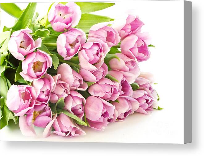 Beautiful Purple Tulips Canvas Print featuring the photograph Beautiful Purple Tulips by Boon Mee