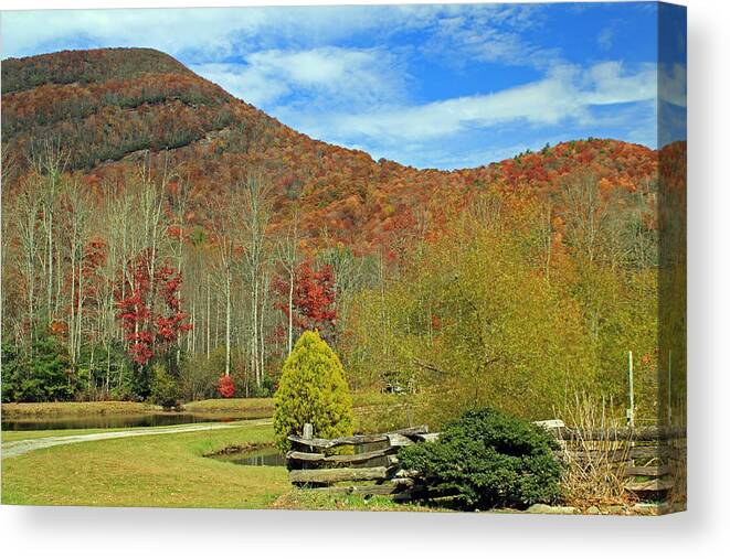 Scenic Canvas Print featuring the photograph Behind the Fence by Jennifer Robin