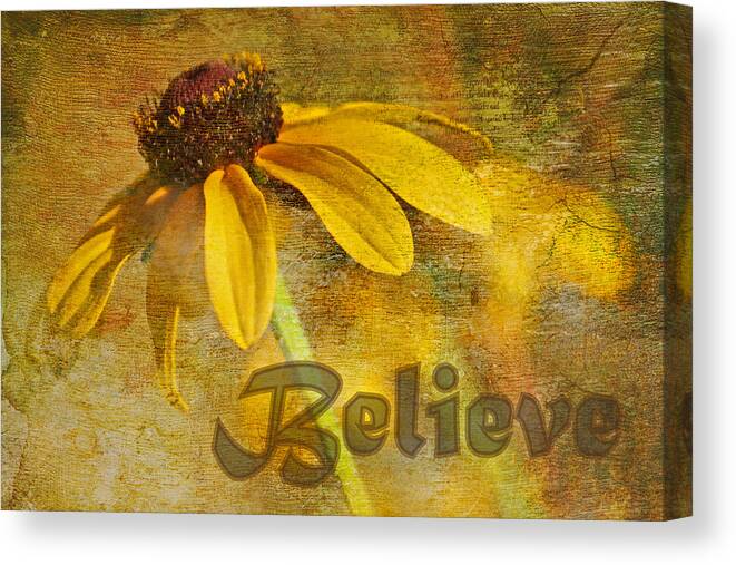 Daisy Canvas Print featuring the photograph Believe by HH Photography of Florida