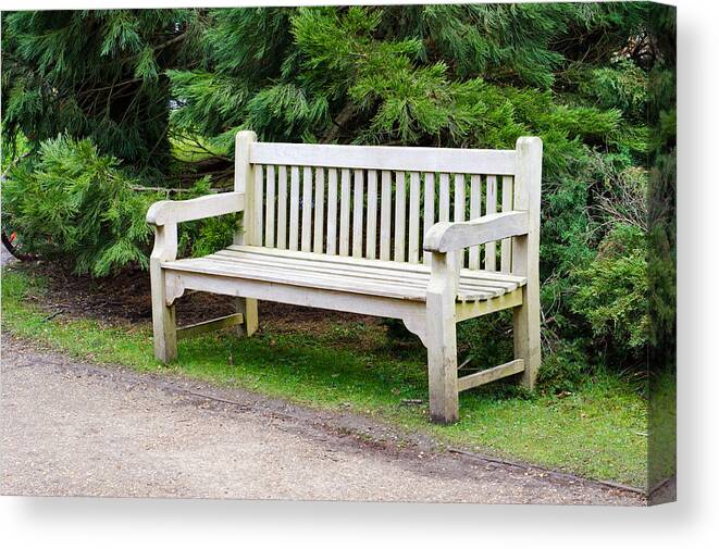 Bench Canvas Print featuring the photograph Bench by Tom Gowanlock