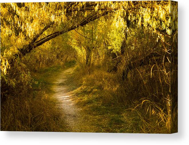 Nature Canvas Print featuring the photograph Bend at Oxbow by Janis Knight