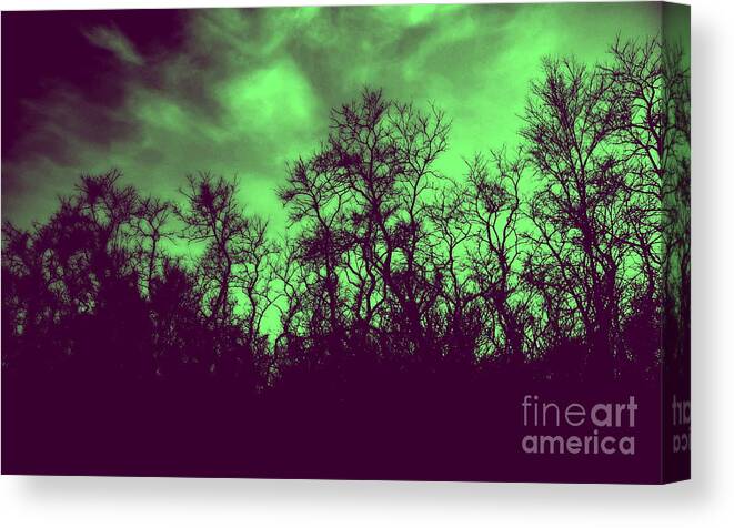 Green Canvas Print featuring the photograph Bend to Winters Light by Alex Blaha