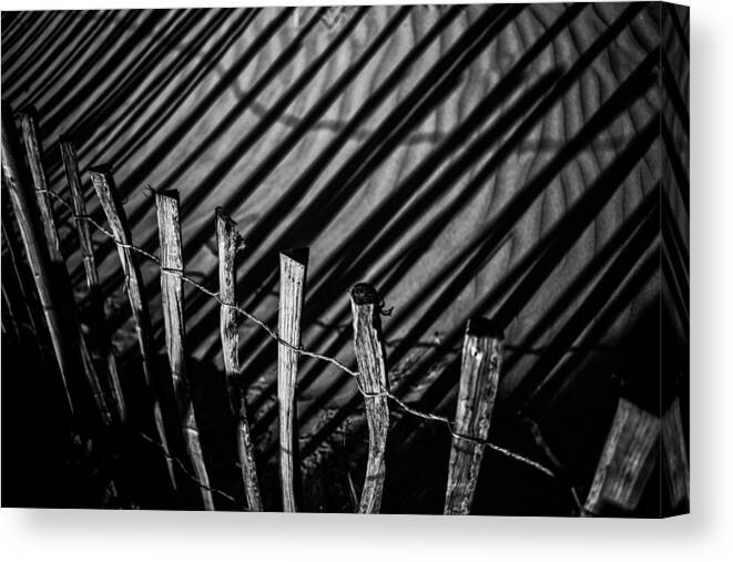 Benone Canvas Print featuring the photograph Benone - Shadow Fencing by Nigel R Bell