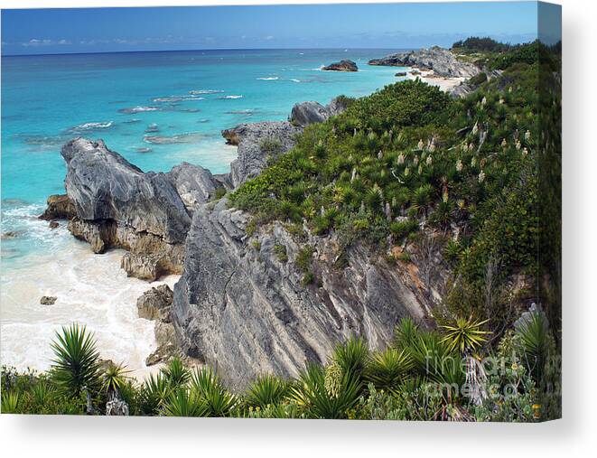 Bermuda Canvas Print featuring the photograph Bermuda Beach by Steven Spak