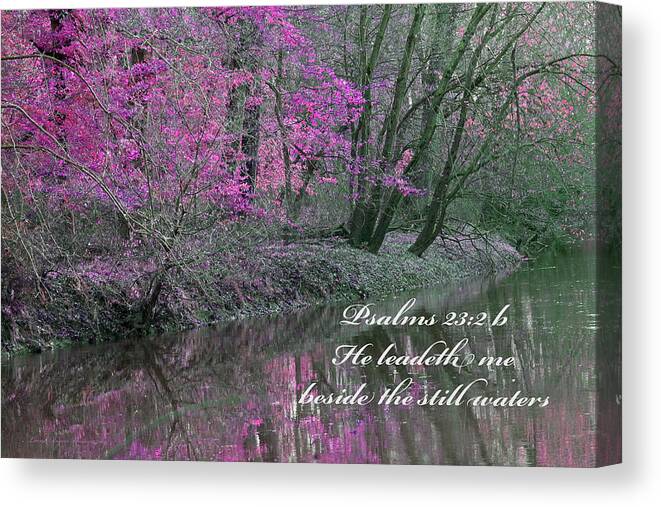 Landscape Canvas Print featuring the photograph Beside Still Waters by Lorna Rose Marie Mills DBA Lorna Rogers Photography