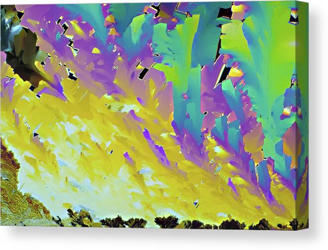 930908-30 Canvas Print featuring the photograph Beta-carotene Crystals by Dennis Kunkel Microscopy/science Photo Library