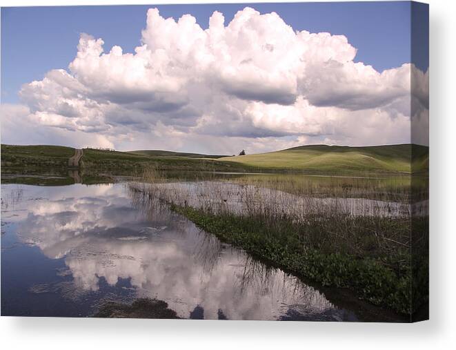 Landscape Canvas Print featuring the photograph Between Storms by Kathy Bassett