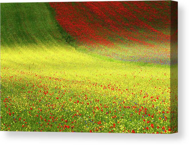 Blossoming Canvas Print featuring the photograph Beyond Dreams by Russo Francesco