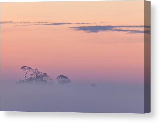 Fog Canvas Print featuring the photograph Beyond The Fog by Denise Bush