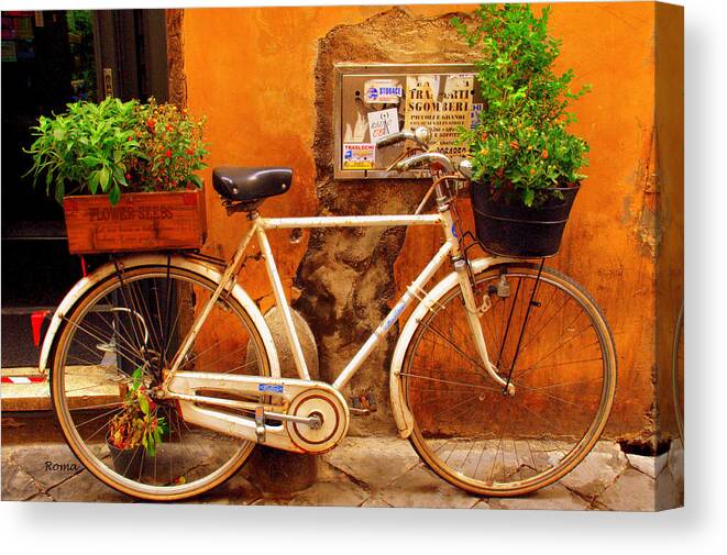 Rome Canvas Print featuring the photograph Bicycle in Rome by Caroline Stella