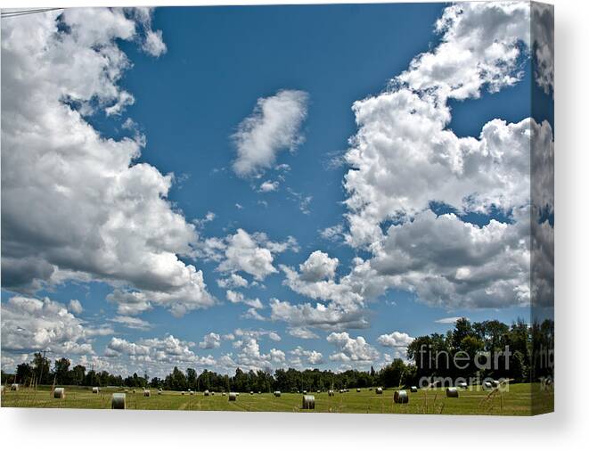 Sky Canvas Print featuring the photograph Big Sky by Cheryl Baxter