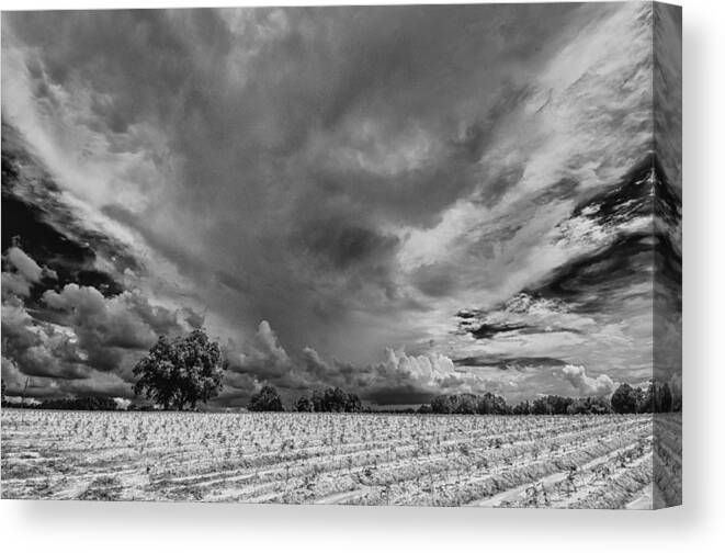 July Canvas Print featuring the photograph Big Sky Summer NC by Jim Moore