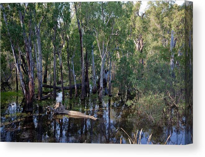 Water Canvas Print featuring the photograph Billabong by Carole Hinding