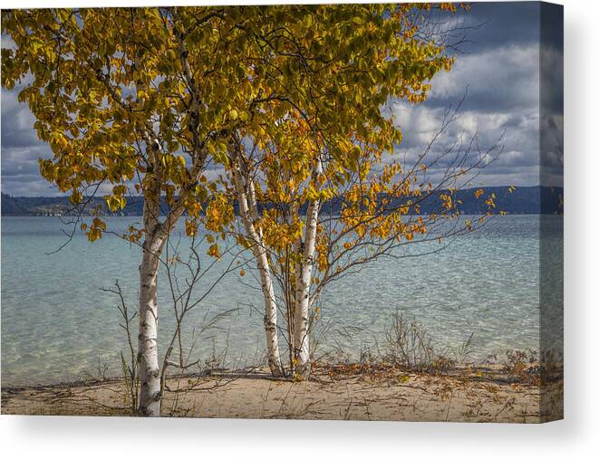 Art Canvas Print featuring the photograph Birch Trees along the shore of Crystal Lake by Randall Nyhof
