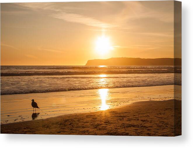 America Canvas Print featuring the photograph Bird and his sunset by John Wadleigh