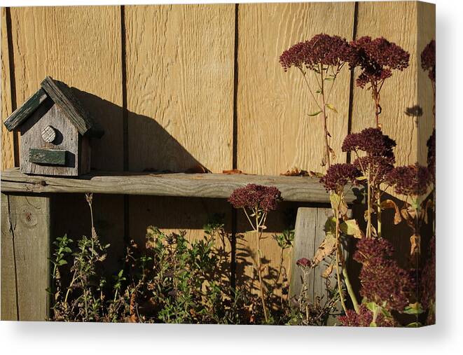 Bird House Canvas Print featuring the photograph Bird House on Bench by Valerie Collins