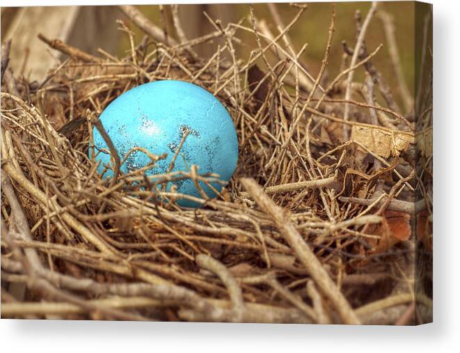Easter Canvas Print featuring the photograph Bird Nest Easter Egg Basket by Jason Politte
