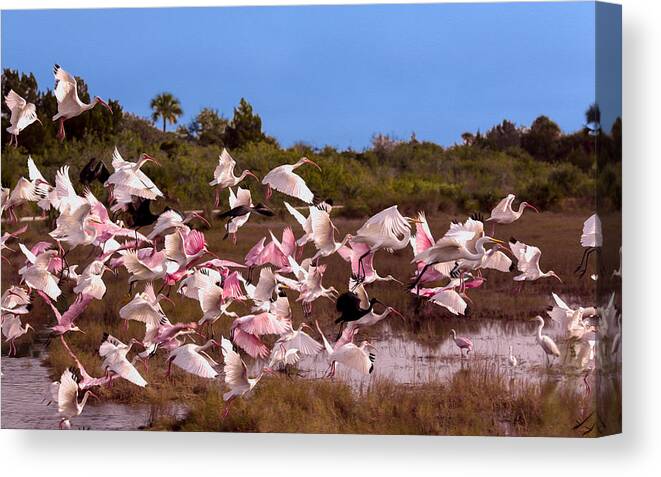 Birds Canvas Print featuring the photograph Birds Call To Flight by John M Bailey