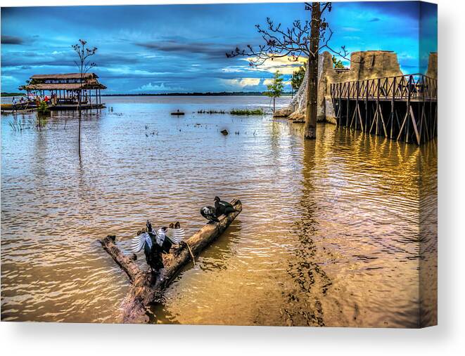 Amazon Canvas Print featuring the photograph Birds on Log by Maria Coulson