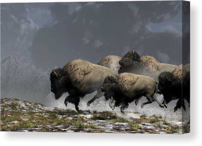 Bison Canvas Print featuring the digital art Bison Stampede by Daniel Eskridge