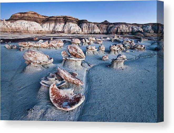 Rock Canvas Print featuring the photograph Bisti Blue by John Fan