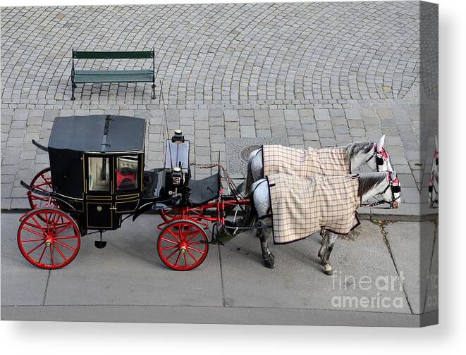Carriage Canvas Print featuring the photograph Black and red horse carriage - Vienna Austria by Imran Ahmed