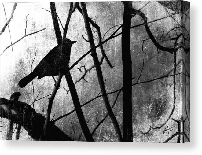 Textured Photograph Canvas Print featuring the photograph Black Bird by Roseanne Jones
