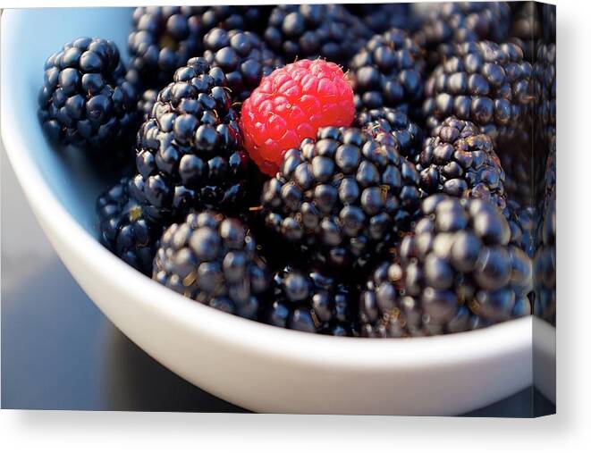 Standing Out From The Crowd Canvas Print featuring the photograph Blackberries With Raspberry by Dane Sigua