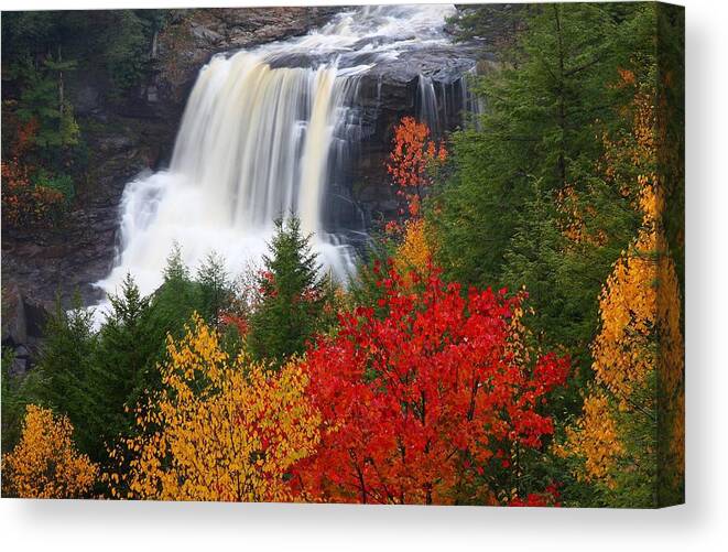 Blackwater Canvas Print featuring the photograph Blackwater falls in autumn by Jetson Nguyen