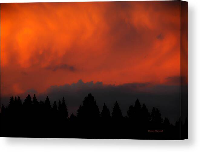 Fire Canvas Print featuring the photograph Blazing Sky by Donna Blackhall