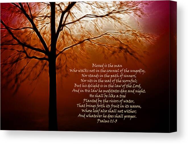 Blessed Canvas Print featuring the photograph Blessed is the Man by Kathy Clark