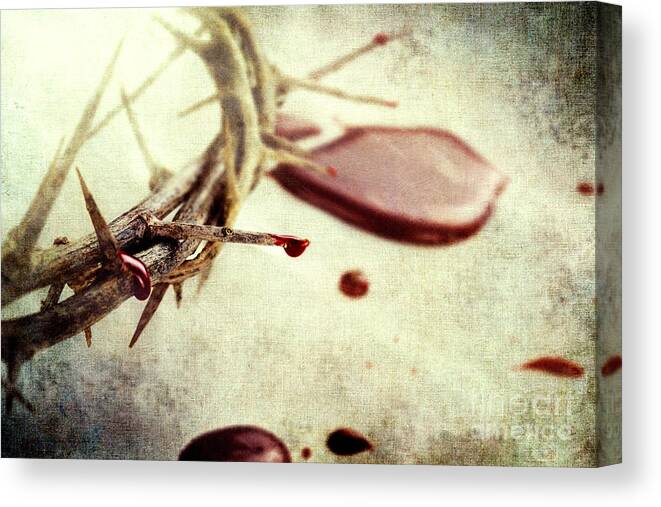 Crown Of Thorns Canvas Print featuring the photograph Blood and Thorns by Stephanie Frey